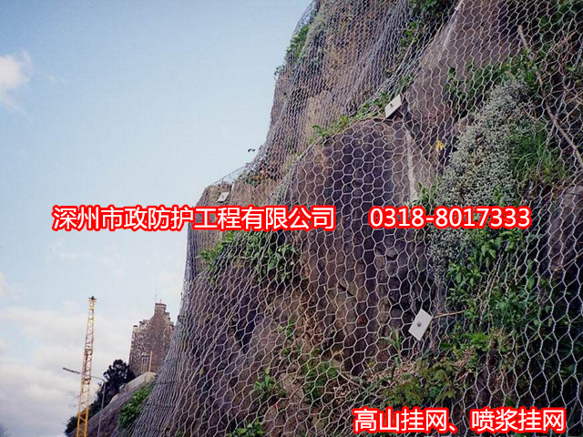 張家口重型六角網